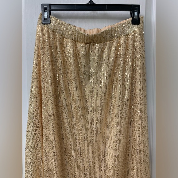 Long Gold Sequin Skirt - Picture 15 of 17